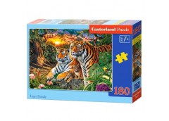 пазли Castorland  180 ел.  В-018482  (20)