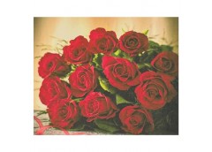 алмазна мозаїка 40х50см. 