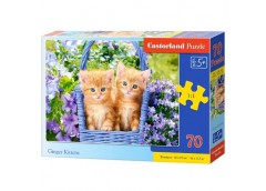 пазли Castorland   70 ел.  