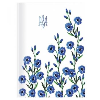 блокнот Optima 