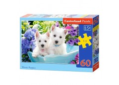 пазли Castorland   60 ел.  