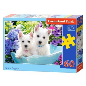 пазли Castorland   60 ел.  