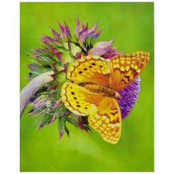 алмазна мозаїка 40х50см. 