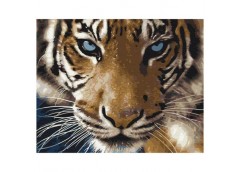 алмазна мозаїка 40х50см. 