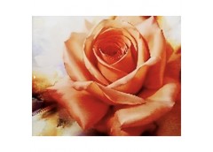 алмазна мозаїка 40х50см. 