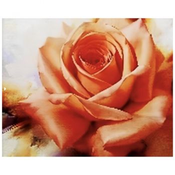 алмазна мозаїка 40х50см. 