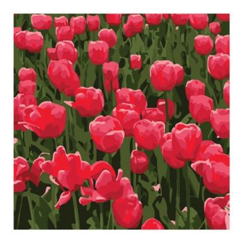 картина за номер. Strateg 20х20см. 