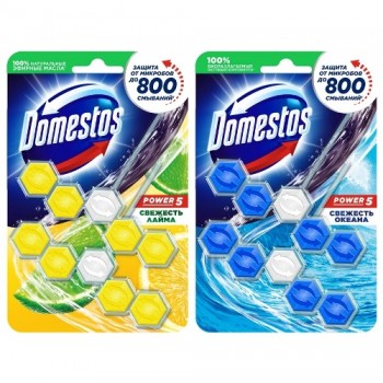 блок для унітазу Domestos Power-5  2х55гр.