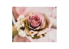 алмазна мозаїка 30х40см. 