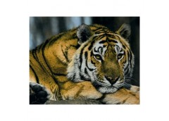 алмазна мозаїка 30х40см. 