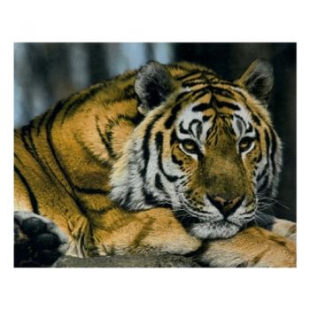 алмазна мозаїка 30х40см. 