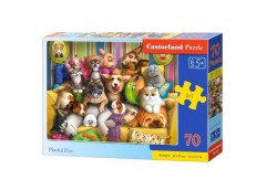 пазли Castorland   70 ел.  