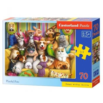 пазли Castorland   70 ел.  