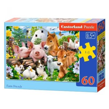 пазли Castorland   60 ел.  