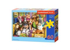 пазли Castorland   60 ел.  
