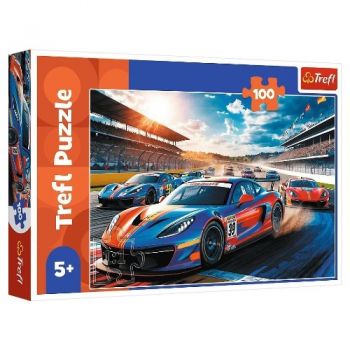 пазли Trefl   100 елем. Швидкий гонщик  17403