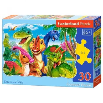 пазли Castorland   30 ел.  