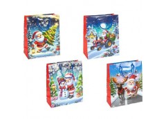 пакет подар. паперовий 