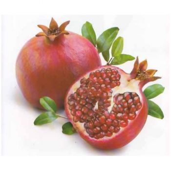 алмазна мозаїка 40х50см. 