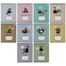 зошит Zibi 48арк. предметний "Crazy Cat" mix 8 предметів + 2 загальні  ZB.1703-99  (10/200)