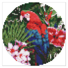 алмазна мозаїка Ідейка кругла d-19см. "Яскравий папуга"  AM-R7918