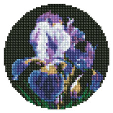 алмазна мозаїка Ідейка кругла d-19см. "Ніжні іриси"  AM-R7924