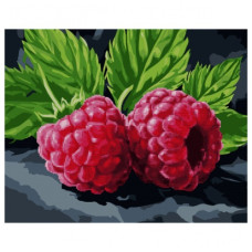 картина за номер. Santi 40х50см. з алмазною мозаїкою "Соковита малина"  954873