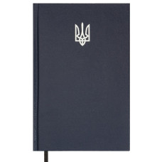щоденник Buromax AIRY синій, недатований, А5, бумвініл  ВМ.20731-02  (1/20)