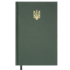 щоденник Buromax AIRY зелений, недатований, А5, бумвініл  ВМ.20731-04  (1/20)