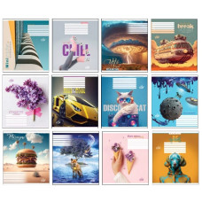 зошит Бріск  24арк. лінія  ТВ-109  (20/400)