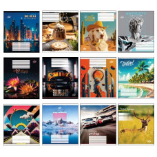 зошит Бріск  60арк. клітинка  ТВ-15  (15/180)