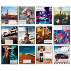 зошит Бріск  96арк. лінія  ТВ-17  (10/120)