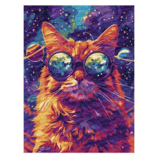 картина за номер. Ідейка 30х40см. "Зоряні окуляри"  КНО6651