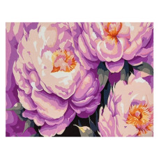 картина за номер. Strateg 30х40см. "Півонії"  SS1157