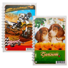 блокнот Polly спіральний А6/48арк.  (24)