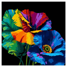 картина за номер. Strateg 40х40см. "Веселка маків"  AV4040-77