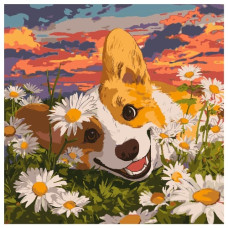 картина за номер. Ідейка 40х40см. "Коргі в ромашках"  КНО6798