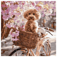 картина за номер. Ідейка 40х40см. "Квіткова поїздка"  КНО6912