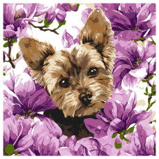 картина за номер. Ідейка 40х40см. "Йорк в магнолії"  КНО6796