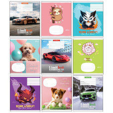 зошит Бріск Gold 12арк. лінія  ТВ-47  (25/500)