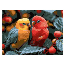 картина за номер. Strateg 30х40см. "Папуга червоно-жовтий"  SS-1278
