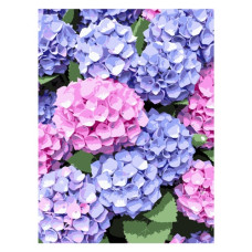 картина за номер. Strateg 30х40см. "Гортензії"  SS-1284