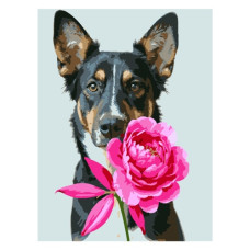 картина за номер. Strateg 30х40см. "Пес з півонією"  SS-1310