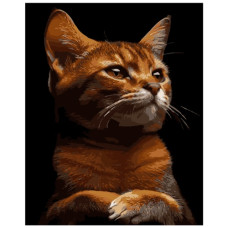 картина за номер. Strateg 40х50см. "Рудий характер"  АН1244