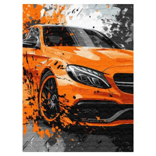 картина за номер. Ідейка 30х40см. "Яскрава міць"  КНО5154