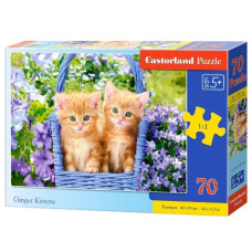 пазли Castorland   70 ел.  "Руді кошенята"   B-070169  (20)