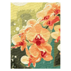 картина за номер. Ідейка 30х40см. "Орхідея в краплях"  КНО3325