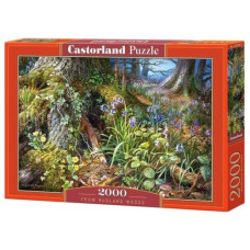 пазли Castorland 2000 ел.  C-200764  (14)