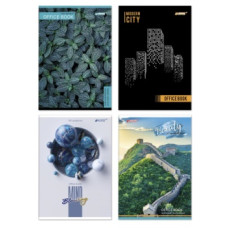 зошит А4 Бріск ТВ-26 60арк. офс. клітинка  (10/100)