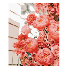 картина за номер. Strateg 30х40см. "Чудові троянди"  SS-6596  (30)